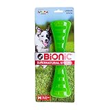 Urban Stick Durable Dog Chew Toy, Tough Dog Toy by Bionic, Medium, Green