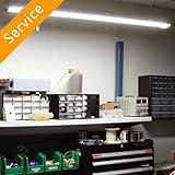 Shop Light Replacement