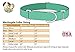 Country Brook Petz Martingale Dog Collar - Heavy-Duty Training Collar with No Buckle - Service Dog Collar for All Pups - Vibrant, Colorful Collection (Green, 1 Inch, Medium)