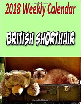 2018 Weekly Calendar British Shorthair Cat Jokes Puns Mazes