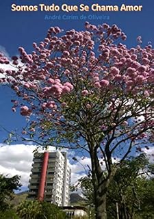 Livro Somos Tudo Que Se Chama Amor