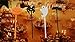 Spooky Halloween Food Topper Picks, 72 Piece Party Pack! By Dondor (1 Pack)