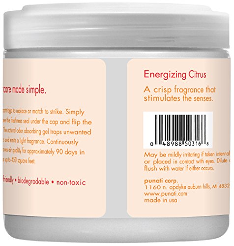 SMELLS BEGONE Air Freshener Odor Absorber Gel - Absorbs Odor from Bathrooms, Cars, Pet Areas, Boats and RVs - Made with Natural Essential Oils (15 OZ) (Energizing Citrus)