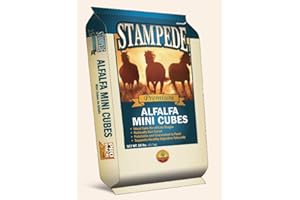 Ernst Grain's Stampede Alfalfa Cubes, Non-GMO (Mini Alfalfa Cubes, 50 lb.)_AB