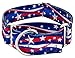 Country Brook Petz - HossFit Jr Wide Martingale Dog Collar - Americana Collection Featuring Patriotic Designs (Patriotic Tribute, Medium)