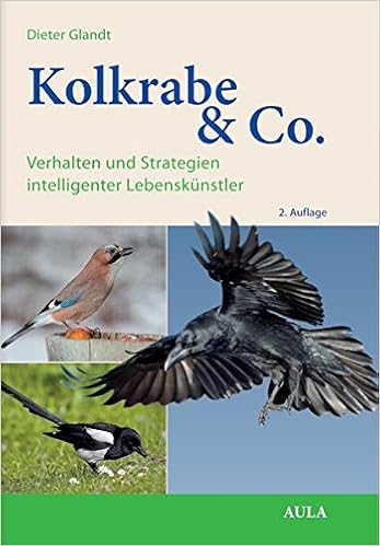 Kolkrabe Co Verhalten Und Strategien Intelligenter Lebenskunstler Amazon De Glandt Dieter Bucher Kolkrabe Co Verhalten Und Strategien Intelligenter Lebenskunstler Amazon De Glandt Dieter Bucher