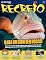 Livro Revista Recreio - 20/12/2024