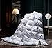 AIKOFUL Down Comforter Queen/Full Size,Cotton Cover Hypoallergenic White Muscovy Down Comforter, Duvet insert, Cotton Duvet Cover,Double Edge Gray Piping, 600TC 700Fill Power