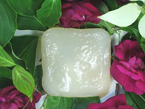 LAKESIDE KOMBUCHA Premium Organic Kombucha SCOBY (1 Gallon First Batch)