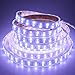 LEDENET Double Row DC 24V 600LEDs/spool 5m RGB+Cold White (6500k-7000K) 5050 SMD Waterproof RGBW LED strip lights in silicone sleeving IP67 for Wedding Party Holiday Outdoor LED Lighting