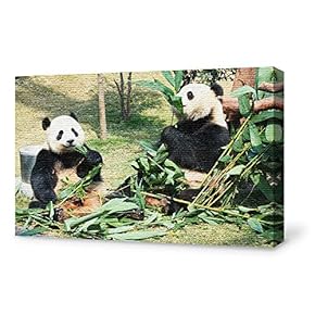 Canvas Wall Art for Living Room,Bedroom Home Artwork Paintings Cute Panda Ready to Hang - 12x18 inches