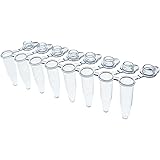 Axygen Pcr 08 Cp C Thin Wall 8 Strip Pcr Tube Strips With Domed Clear Strip Caps 0 2ml Clear Pp 1 Case Tubes And Caps 8 Each Strip 125 Strips Unit 10 Units Case Science Lab Pcr Tubes Amazon Com