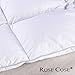 ROSECOSE Luxurious Goose Down Comforter Queen Duvet Insert All Seasons Solid White Hypo-allergenic 1200 Thread Count 750+ Fill Power 100% Cotton Shell Down Proof with Tabs (Queen, White)