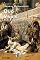 Livro Quo Vadis