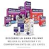 FELIWAY-Classic-20ml-Spray-comforts-cats-and-helps-solve-behavioural-issues-in-the-home-and-on-the-move-20ml FELIWAY Classic 20ml Spray, comforts cats and helps solve behavioural issues and stress/anxiety in the home and on the…