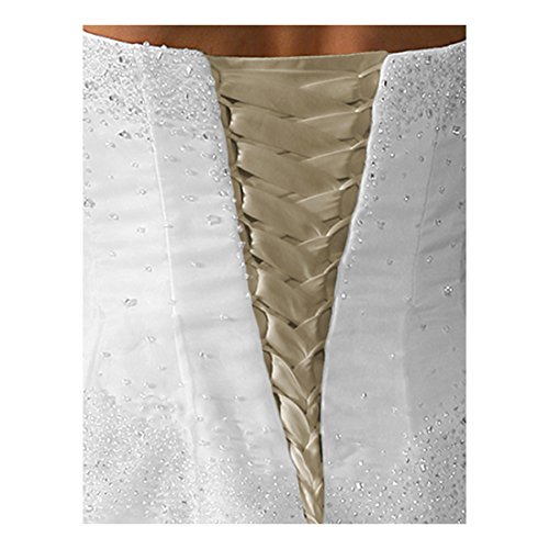 Wedding Gown Replace Zipper Adjust Fit Corset Back Kit Lace-up Champagne 14