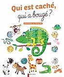 Qui est caché, qui a bougé ? by 