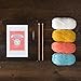 Knit Picks Learn to Knit Club: The Scarf - Beginner Knitting Kit