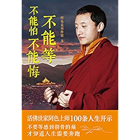 不能等 不能怕 不能悔 (Chinese Edition) book cover