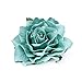 Ever Fairy Rose Flower Hair Clip Slide Flamenco Dancer Pin up Flower Brooch(10 pack)(10 Color Pack C)