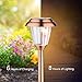 Finether LED Solar Lights Outdoor Garden Lights Stainless Steel Landscape Lighting Waterproof Path Lights for Lawn,Garden,Driveway,Yard,Walkways,8 Pack (2018 Advanced)
