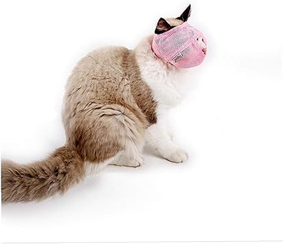 Tjexepyk 1 Paquet Respirante Cat Bouche Couverture Chat Museau Mesh Respirant Pet Museliere Toilette Kitty Masque Anti Mordre Et Chewing Anti Meow Rose Taille L Pet Supplies Amazon Fr Animalerie