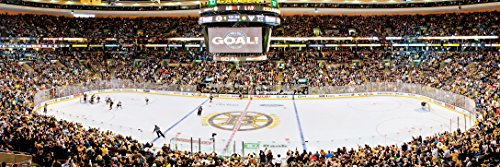 NHL Boston Bruins Arena Puzzle (1000-Piece), Small, Gray