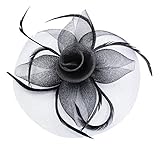 Fascinator on Hairclip for Women Mesh Feather Black