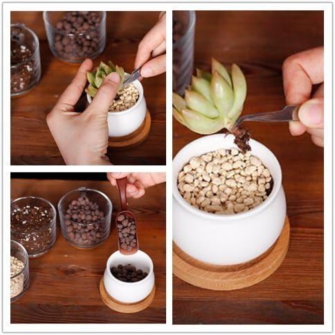 14Pcs Mini herramientas de mano de jardinería mini rastrillo ...
