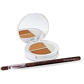 Sheer Cover Studio Conceal & Brighten Concealer- Highlight Trio Tan/Dark Shade Two-Toned Concealers Shimmering Highlighter Tan/Dark Shade with Concealer Brush