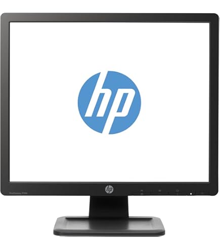 Amazon.com: Dell E190S 19