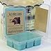 2 Pack - Fierce Scented Wax Melts - Compare to Abercrombie & Fitch - Hand Poured Blended Soy Wax Cubes Made in the USA by Just Makes Scents