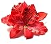 10 Pcs Multicolor Women Girls Orchid Flower Leopard Hair Clip Wedding Party Beach Bridal Hairclip Hair Pins Hair Barrette Accessories