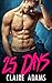 25 Days (A Standalone Novel) (Christmas Bad Boy Romance)