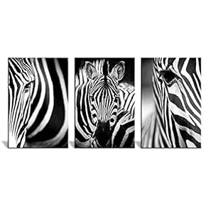 3 Panel Canvas Wall Art - Close Up of Zebras in Black and White - Giclee Print Gallery Wrap Modern Home Art Ready to Hang - 16"x24" x 3 Panels