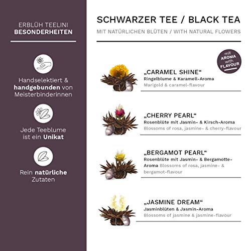 Creano Erblüh-Teelini schwarztee Geschenk-Set 'schwarzer Tee' 8 ErblühTeelini fein aromatisiert, 1 Teelini Glas-Teetasse… – Bild 3