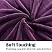Shilucheng Goose Feathers Down Comforter, Soft 600TC Cotton Fabric, 850 Fill Power All Season Duvet Insert, Hotel Quality Comforter, Fluffy and Cozy (Purple, 91