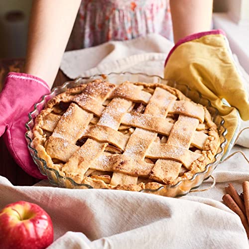 PERFECT PLANTS Red Delicious Apple Tree 1 Gallon Live Fruit Trees For