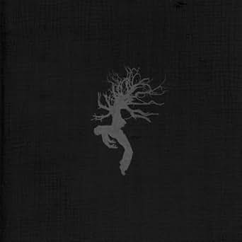 Music William Ryan Fritch Emergent Download