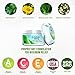 Hemp Iced Pain Relief Cream – 500MG Topical Salve for Joints & Muscles | Anti-Inflammatory w/Organic Aloe, Chamomile & Arnica | Relief for Knee, Foot, Back, Hip, Arthritis Pain - 2 oz