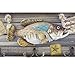 12-inch Wood Decorative Trout Fish Welcome Sign Hanging Plaque with 3 Hooks,for Garden and Wall Decor