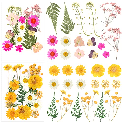 HAKACC Dried Pressed Flowers, 115PCS Flat Flowers for Resin Real Dried Flowers Leaves and Butterfly Stickers for Scrapbooking Jewellery Nail Art DIY crafts