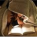 Bedsure Sherpa Fleece Blanket Throw Size Sage Green Plush Throw Blanket Fuzzy Soft Blanket Microfiber