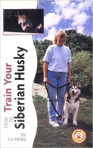 How to Train Your Siberian Husky (Tr-105) �n�[�h�J�o�[  - �C���X�g�t��, 1998/11/1