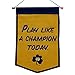 NCAA Notre Dame Fighting Irish 64237 Sports Fan Home Decor, gold, banner