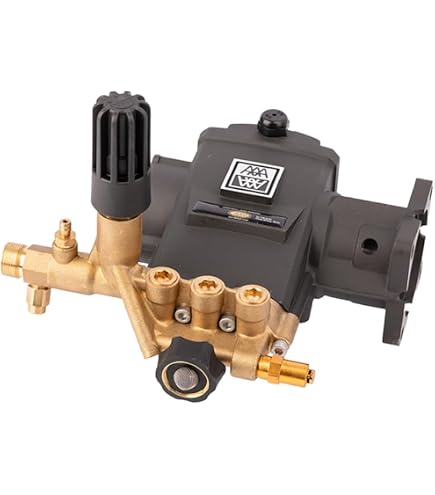 Amazon.com : 7106573 Simpson AAA Horizontal Triplex Plunger