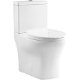 Swiss Madison SM-WC324 Supporto Per Serbatoio WC Nascosto | Telaio Acciaio Per Parete Con Borchie 2x4 | Doppio Scarico