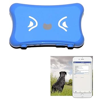 Kasionvi Gps Tracker Real Time Gps Tracker Ip66 Waterproof Real Time Tracking Pet Gps Tracker With App Support Iosandroid Gsm Gps Locator