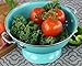 Reston Lloyd Calypso Basics Powder Coated Enameled Colander, 3-Quart, Turquoise