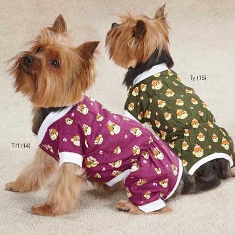 gucci dog clothes amazon